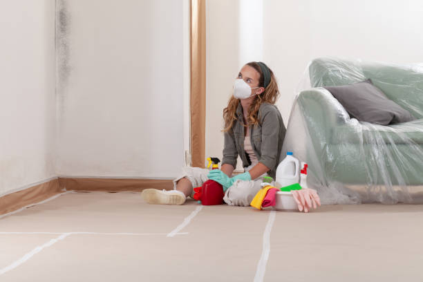 Reliable Mold Remediation contractor in Stanwood, MI by Car Mold Remediation